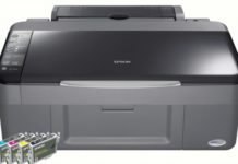 Epson Stylus DX4050 Printer Snapshot