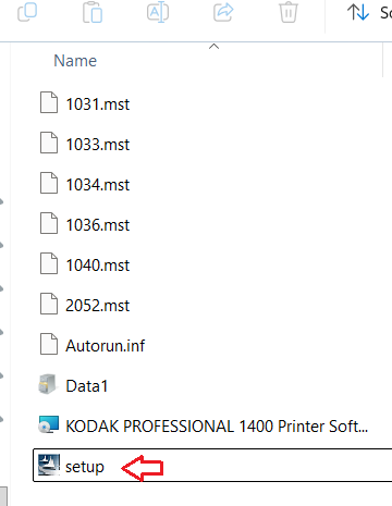run the setup.exe file