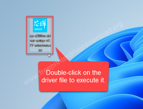 Execute the driver